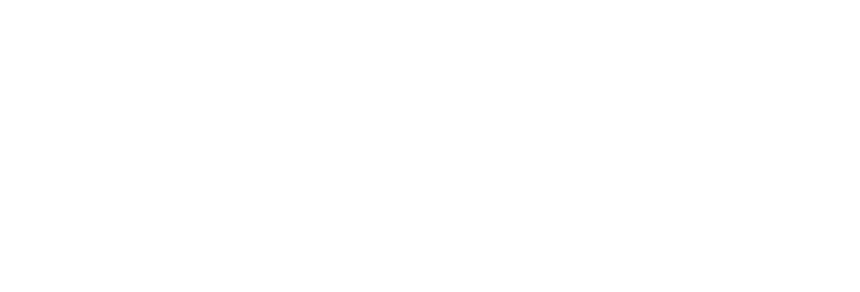 LifeSavvy Media W_White