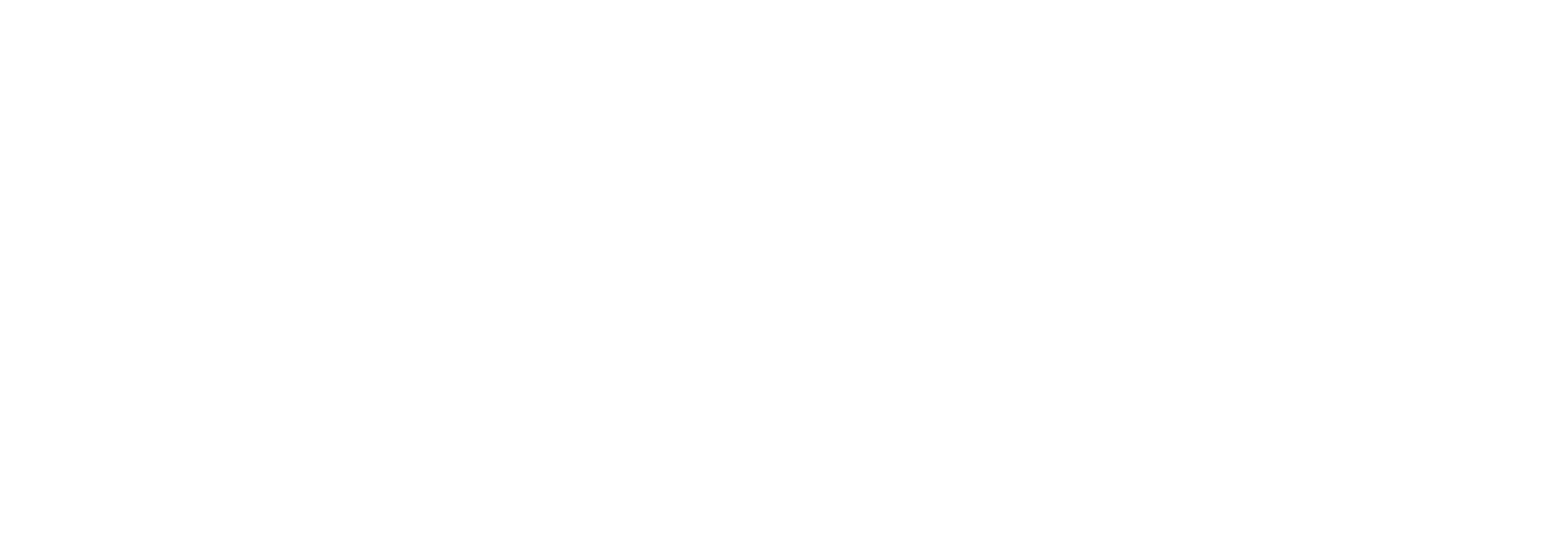 LifeSavvy Media W_White