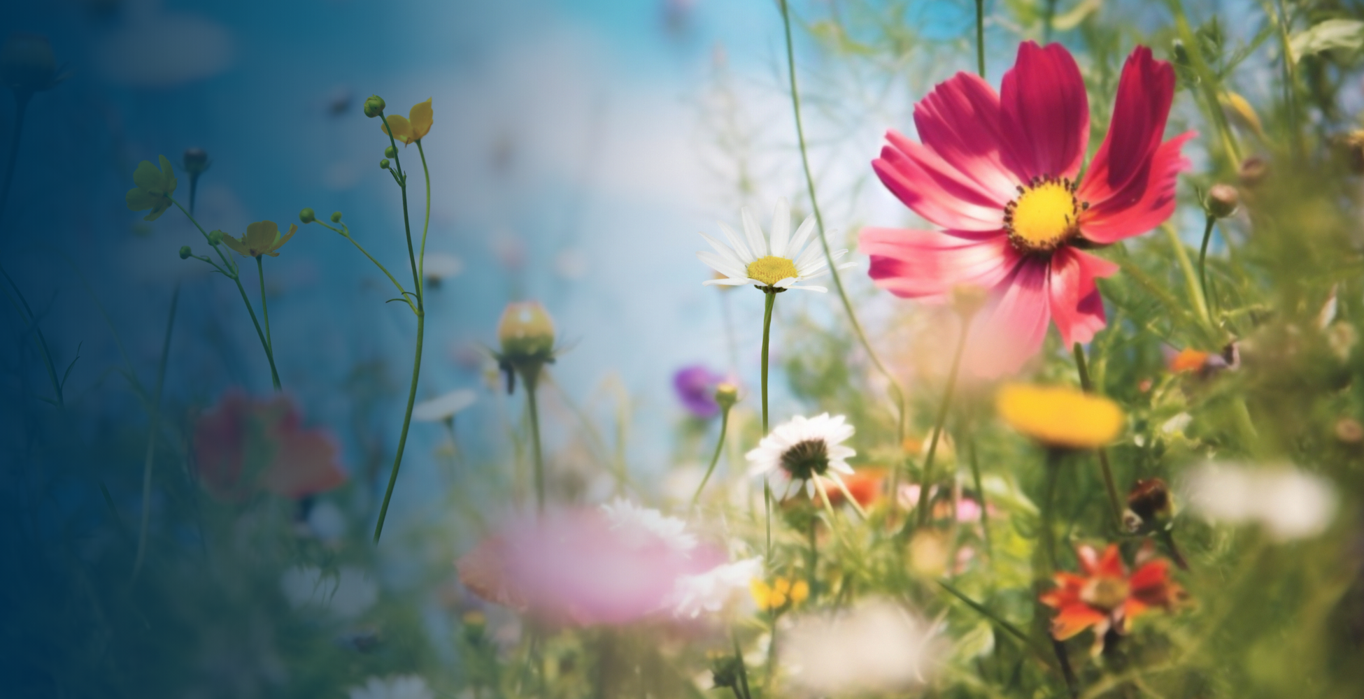 Static Media - Home and Garden - Landing Page Image V4